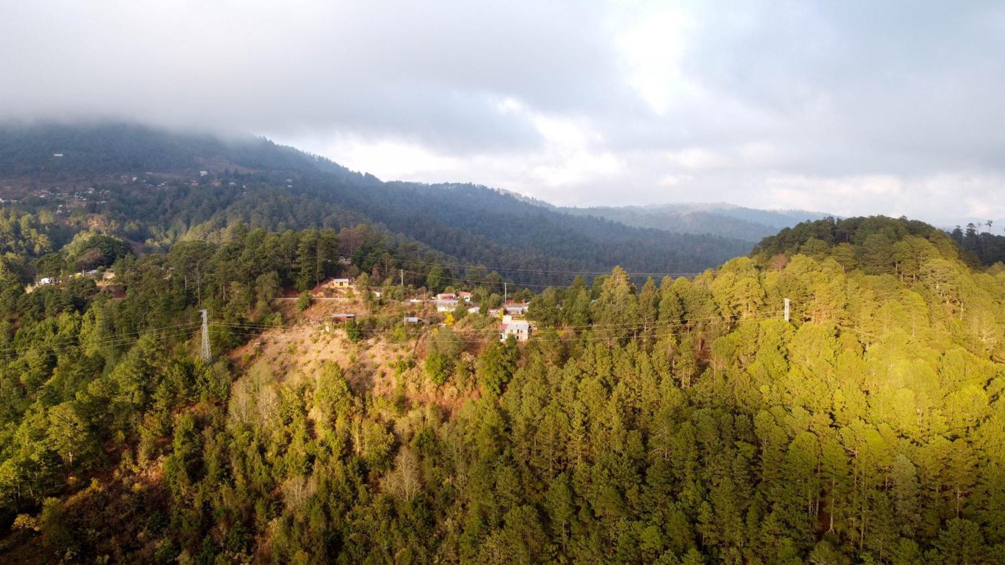 San Jose Del Pacifico- Cabanas Camino Al Cielo 2 المظهر الخارجي الصورة