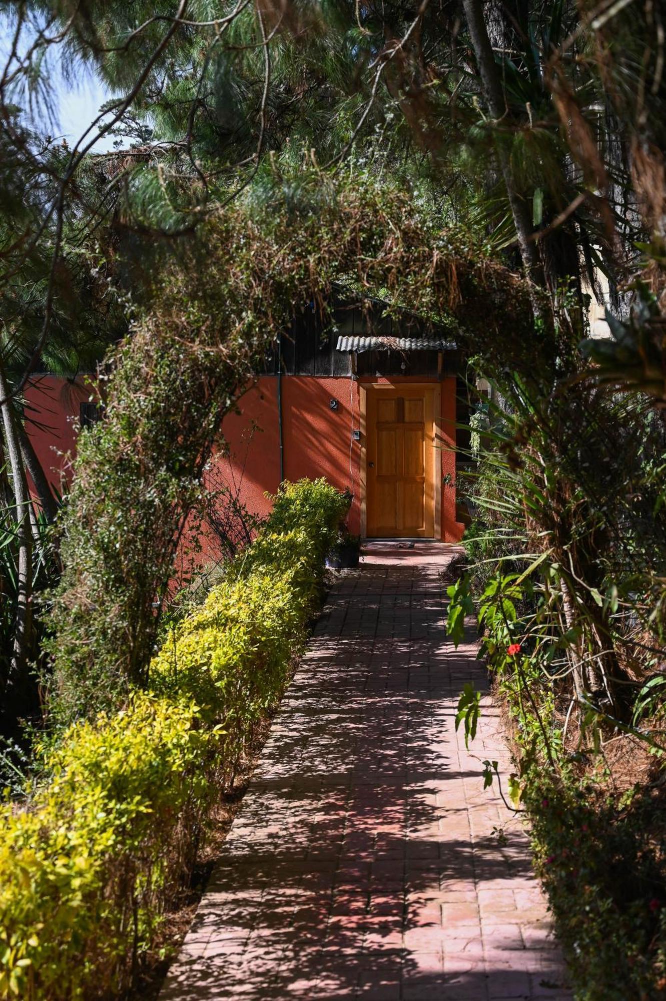 San Jose Del Pacifico- Cabanas Camino Al Cielo 2 المظهر الخارجي الصورة